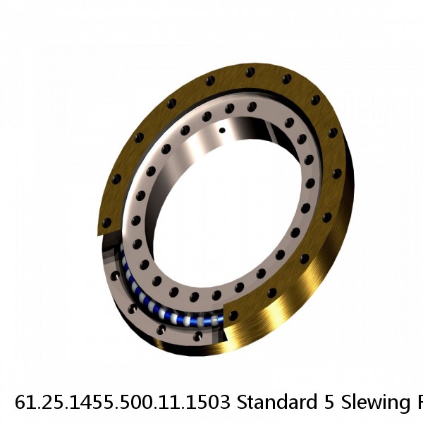 61.25.1455.500.11.1503 Standard 5 Slewing Ring Bearings