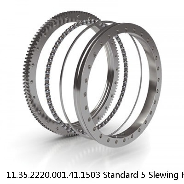 11.35.2220.001.41.1503 Standard 5 Slewing Ring Bearings