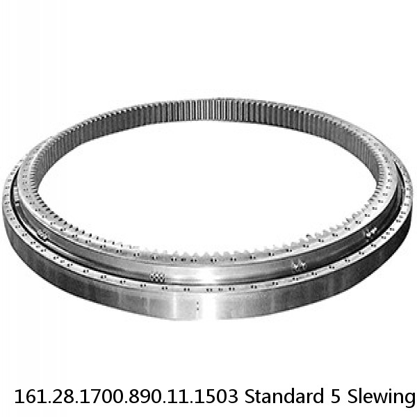 161.28.1700.890.11.1503 Standard 5 Slewing Ring Bearings