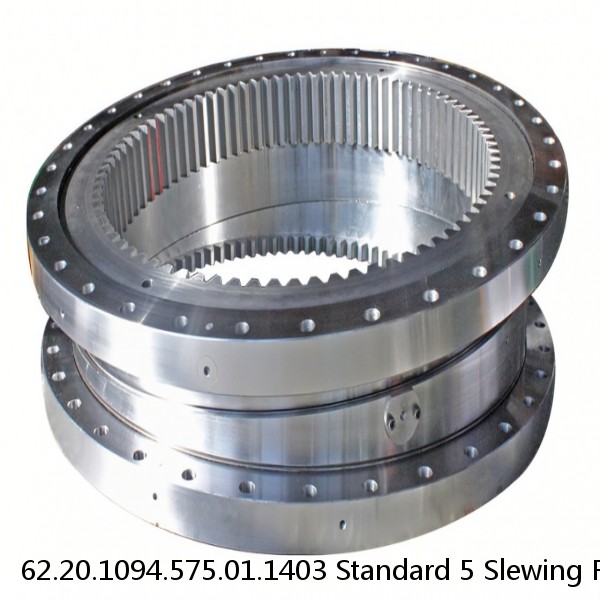 62.20.1094.575.01.1403 Standard 5 Slewing Ring Bearings