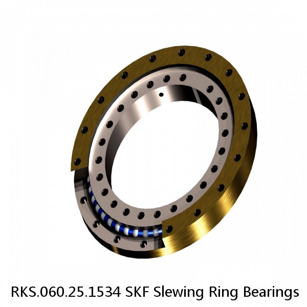 RKS.060.25.1534 SKF Slewing Ring Bearings