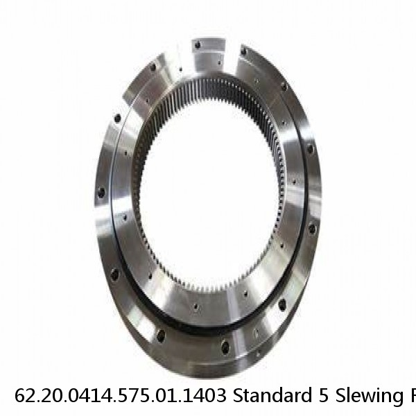 62.20.0414.575.01.1403 Standard 5 Slewing Ring Bearings