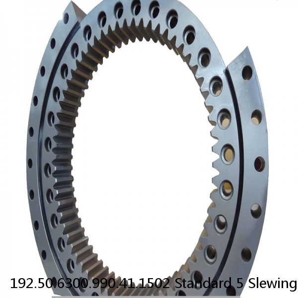 192.50.6300.990.41.1502 Standard 5 Slewing Ring Bearings