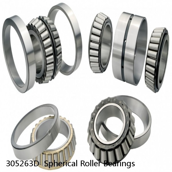 305263D  Spherical Roller Bearings