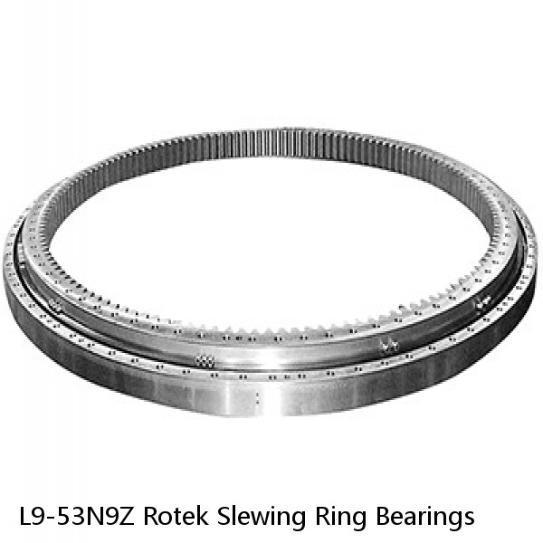 L9-53N9Z Rotek Slewing Ring Bearings