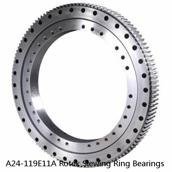 A24-119E11A Rotek Slewing Ring Bearings