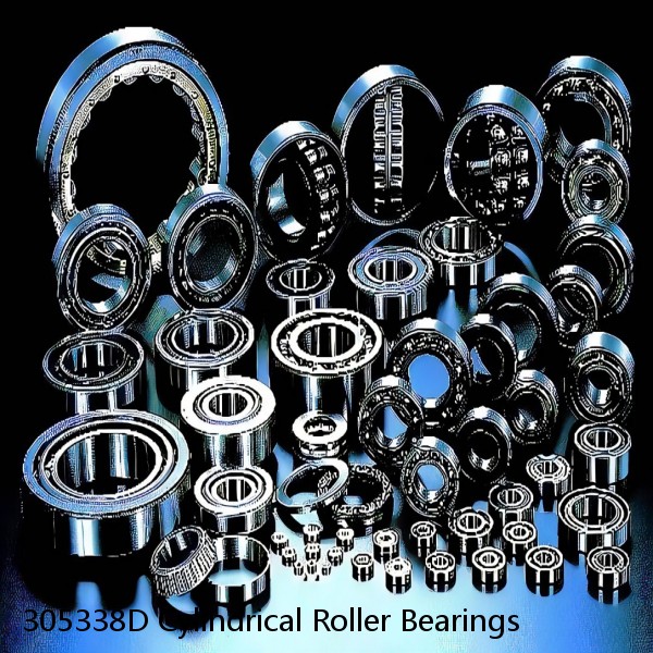 305338D Cylindrical Roller Bearings