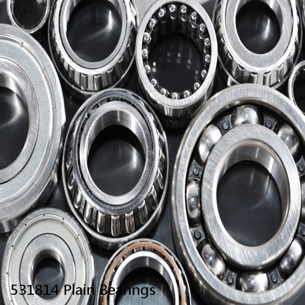 531814 Plain Bearings