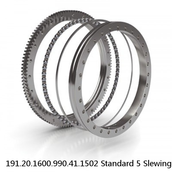 191.20.1600.990.41.1502 Standard 5 Slewing Ring Bearings