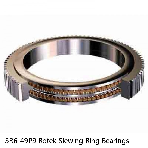 3R6-49P9 Rotek Slewing Ring Bearings