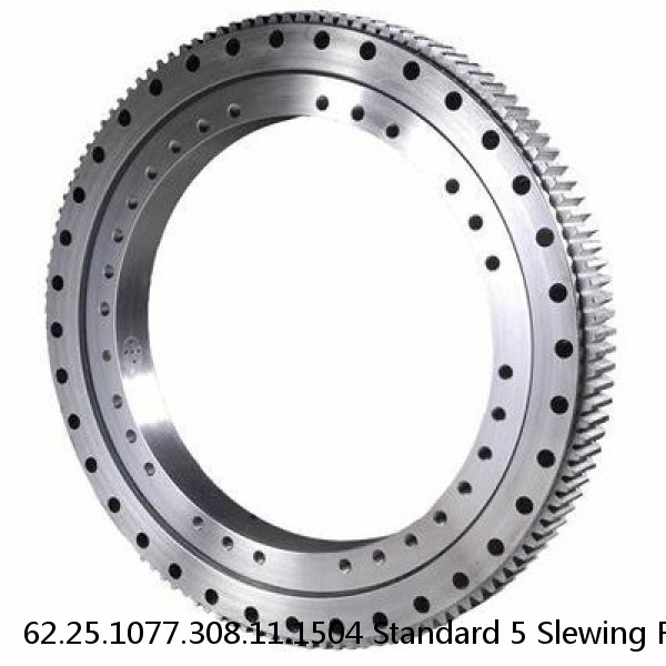 62.25.1077.308.11.1504 Standard 5 Slewing Ring Bearings