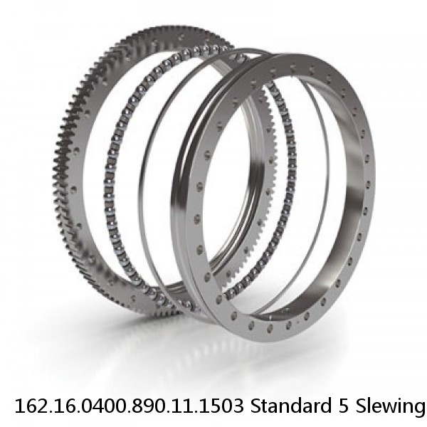 162.16.0400.890.11.1503 Standard 5 Slewing Ring Bearings