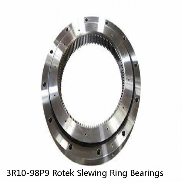 3R10-98P9 Rotek Slewing Ring Bearings