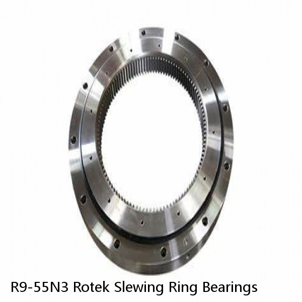 R9-55N3 Rotek Slewing Ring Bearings