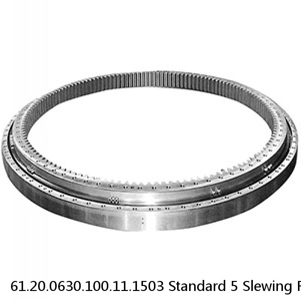 61.20.0630.100.11.1503 Standard 5 Slewing Ring Bearings