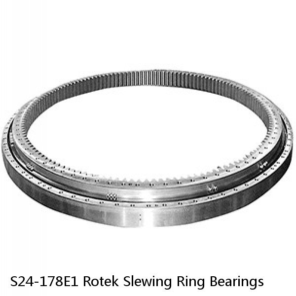 S24-178E1 Rotek Slewing Ring Bearings