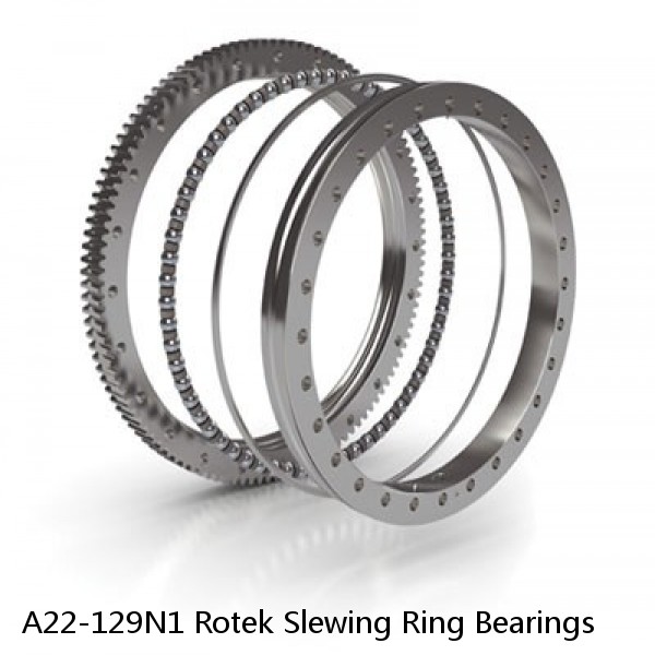 A22-129N1 Rotek Slewing Ring Bearings