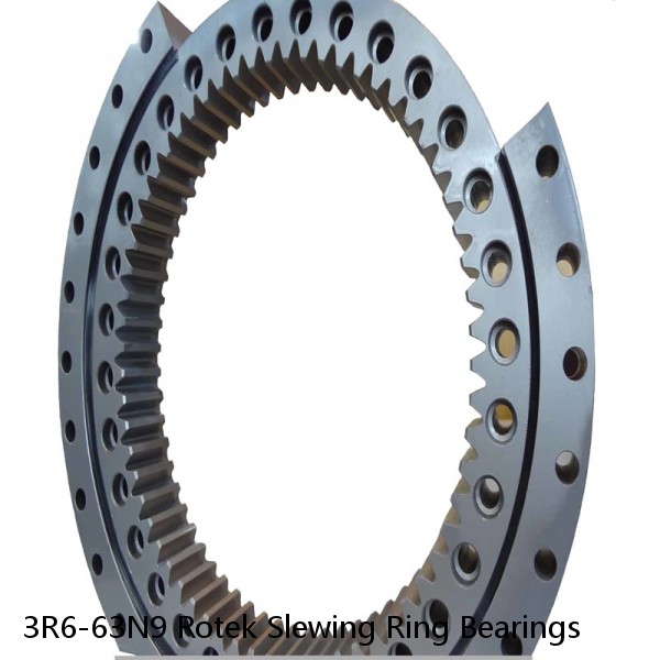 3R6-63N9 Rotek Slewing Ring Bearings