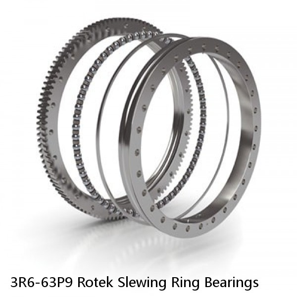 3R6-63P9 Rotek Slewing Ring Bearings