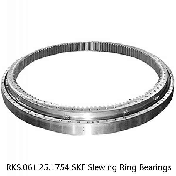 RKS.061.25.1754 SKF Slewing Ring Bearings