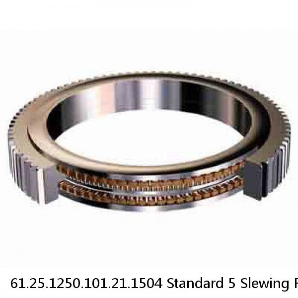 61.25.1250.101.21.1504 Standard 5 Slewing Ring Bearings