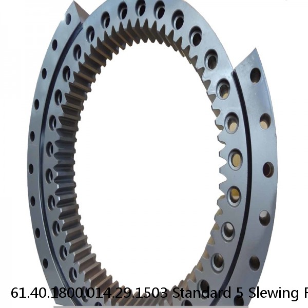 61.40.1800.014.29.1503 Standard 5 Slewing Ring Bearings