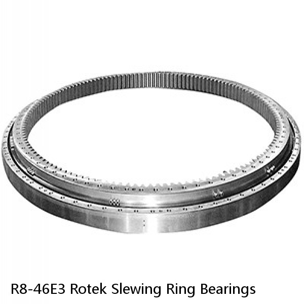 R8-46E3 Rotek Slewing Ring Bearings