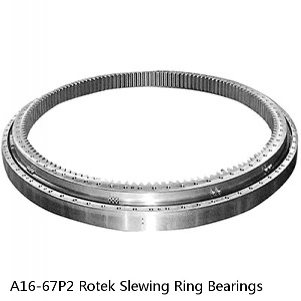 A16-67P2 Rotek Slewing Ring Bearings