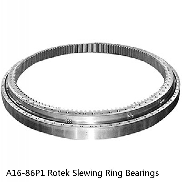 A16-86P1 Rotek Slewing Ring Bearings