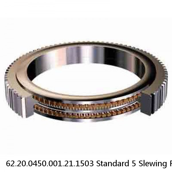 62.20.0450.001.21.1503 Standard 5 Slewing Ring Bearings