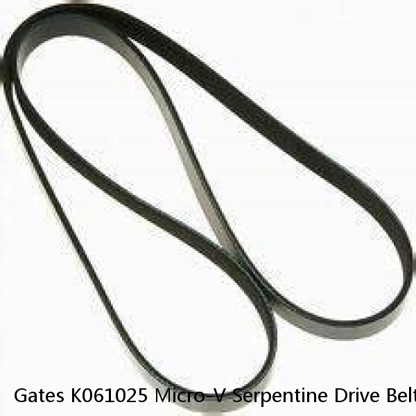 Gates K061025 Micro-V Serpentine Drive Belt