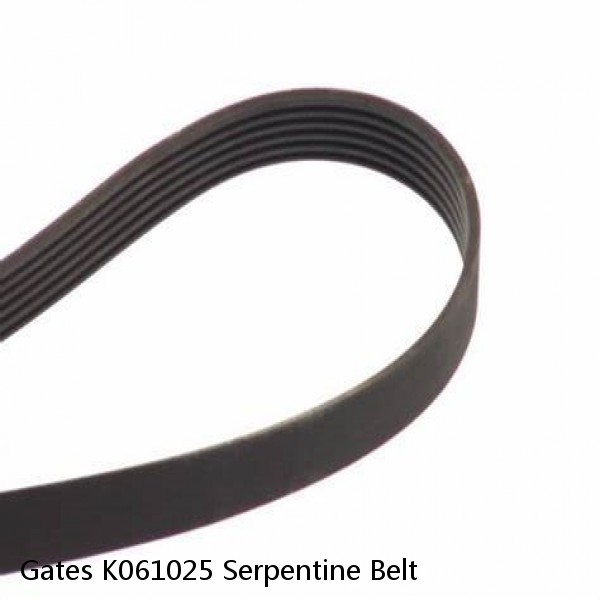 Gates K061025 Serpentine Belt