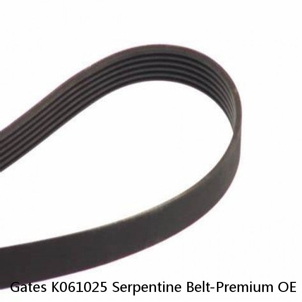 Gates K061025 Serpentine Belt-Premium OE Micro-V Belt 