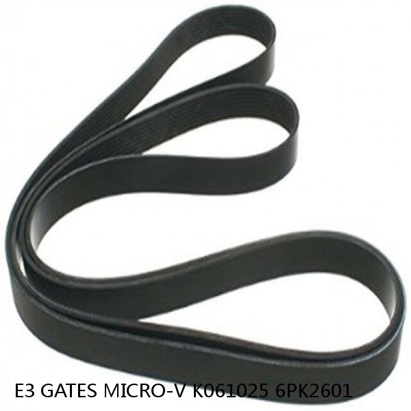 E3 GATES MICRO-V K061025 6PK2601 