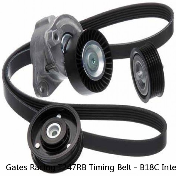 Gates Racing T247RB Timing Belt - B18C Integra GSR / Type-R